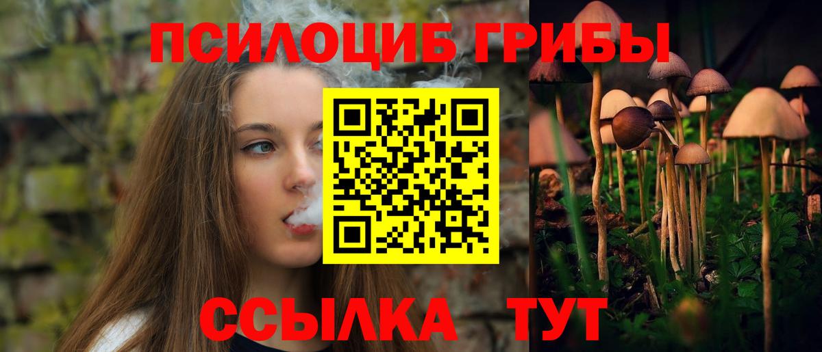 Донской  Галлюциногенные грибы Psilocybine cubensis  Псилоцибиновые грибы GOLDEN TEACHER  Вход с VPN 
